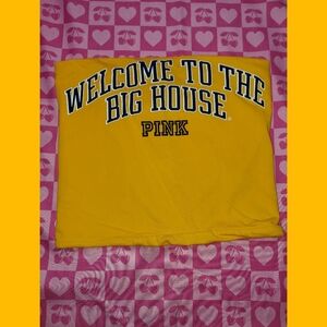 Victorias Secret PINK Michigan Wolverines Tube Top Crop Top Strapless